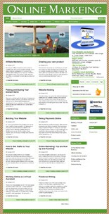 Online Marketing Niche Blog Personal Use Template