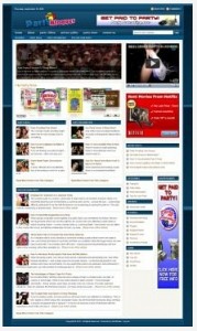 Party Blog Theme Plr Template