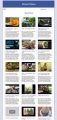 Bonsai Video Site Builder MRR Software