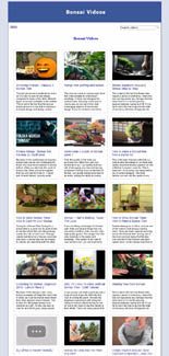 Bonsai Video Site Builder MRR Software