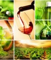 Complete Guide To Making Your Own Wine Resale Rights Ebook 
