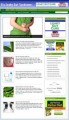 Leaky Gut Syndrome Niche Blog Personal Use Template ...