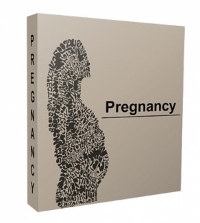 Pregnancy Niche Website Bundle Personal Use Template