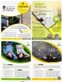 Push Button Flyers Personal Use Graphic 