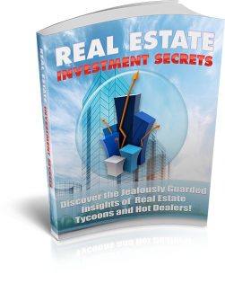 Real Estate Investment Secrets PLR Ebook