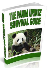 The Panda Update Survival Guide Personal Use Ebook