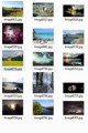 Trees And Nature Stock Images Resale Rights Graphic