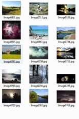 Trees And Nature Stock Images Resale Rights Graphic