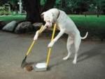 Dog Training Techniques PLR Ebook
