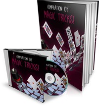 Magic Niche Site Package Resale Rights Ebook With Audio