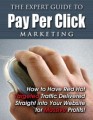 The Expert Guide To Ppc Marketing PLR Ebook 