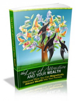 The Law Of Attraction And Your Wealth MRR Ebook