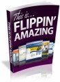 This Is Flippin' Amazing! Plr Ebook