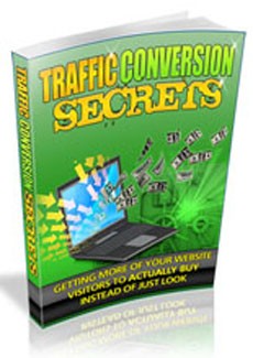 Traffic Conversion Secrets Personal Use Ebook