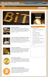 Bitcoin Blog Personal Use Template With Video