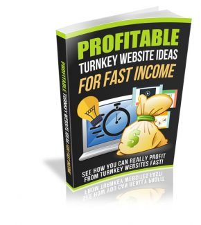 Profitable Turnkey Website Ideas Resale Rights Ebook