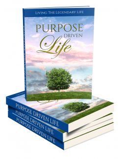 Purpose Driven Life MRR Ebook