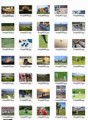 Sports And Recreation Stock Images Resale Rights Graphic