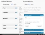 40 Wordpress Video Package MRR Video