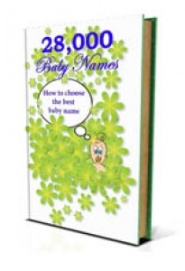 28000 Baby Names Mrr Ebook