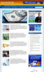 Forex Niche Blog Personal Use Template With Video