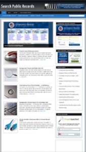 Public Records Blog Personal Use Template