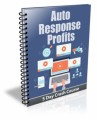 Auto Response Profits PLR Autoresponder Messages 