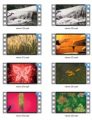 Nature Stock Videos Two - V2 MRR Video