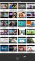 Pet Insurance Instant Mobile Video Site MRR Software