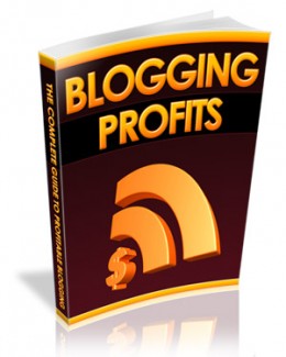 Blogging Profits Plr Ebook