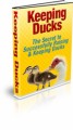 Keeping Ducks MRR Ebook 