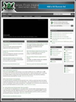 Work From Home Niche Package PLR Template