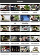 Bonsai Instant Mobile Video Site MRR Software