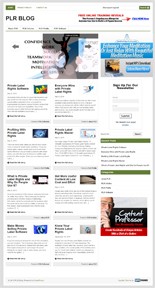 Plr Blog PLR Template