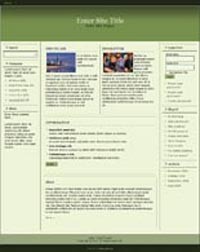 Responsive Magazine Style Template 3 PLR Template