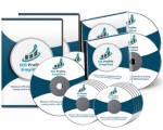 Seo Profits Simplified Personal Use Video 