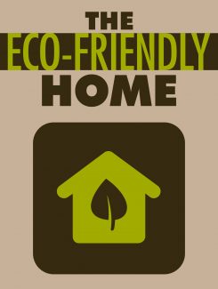 The Eco-friendly Home MRR Ebook