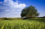 Watermark Your Pictures Resale Rights Video