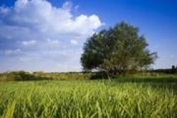 Watermark Your Pictures Resale Rights Video