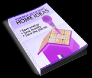 Energy Efficient Home Ideas Plr Ebook