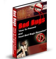 6 Pack Plr Products PLR Ebook