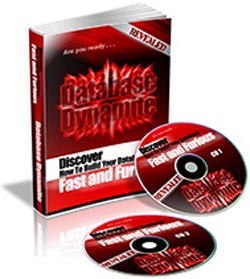 Database Dynamite PLR Ebook With Audio