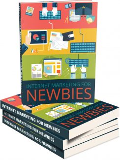 Internet Marketing For Newbies MRR Ebook