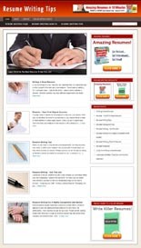 Resume Writing Tips Niche Blog Personal Use Template With Video