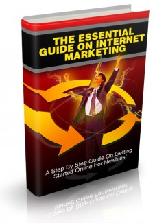 The Essential Guide On Internet Marketing MRR Ebook