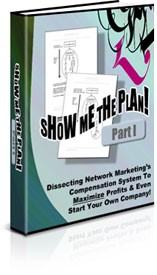 Show Me The Plan – Part 1 PLR Ebook
