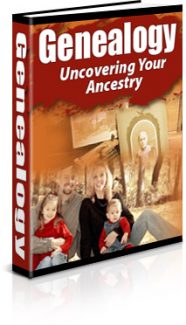43 Niche Packs PLR Ebook