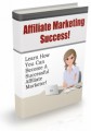Affiliate Marketing Success 2013 PLR Autoresponder Messages