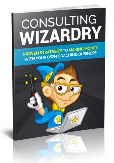 Consulting Wizardy PLR Ebook