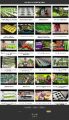 Hydroponics Gardening Instant Mobile Video Site MRR Software